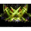 CHAUVET Rogue™ R1 Lyre Spot LED 140W  
