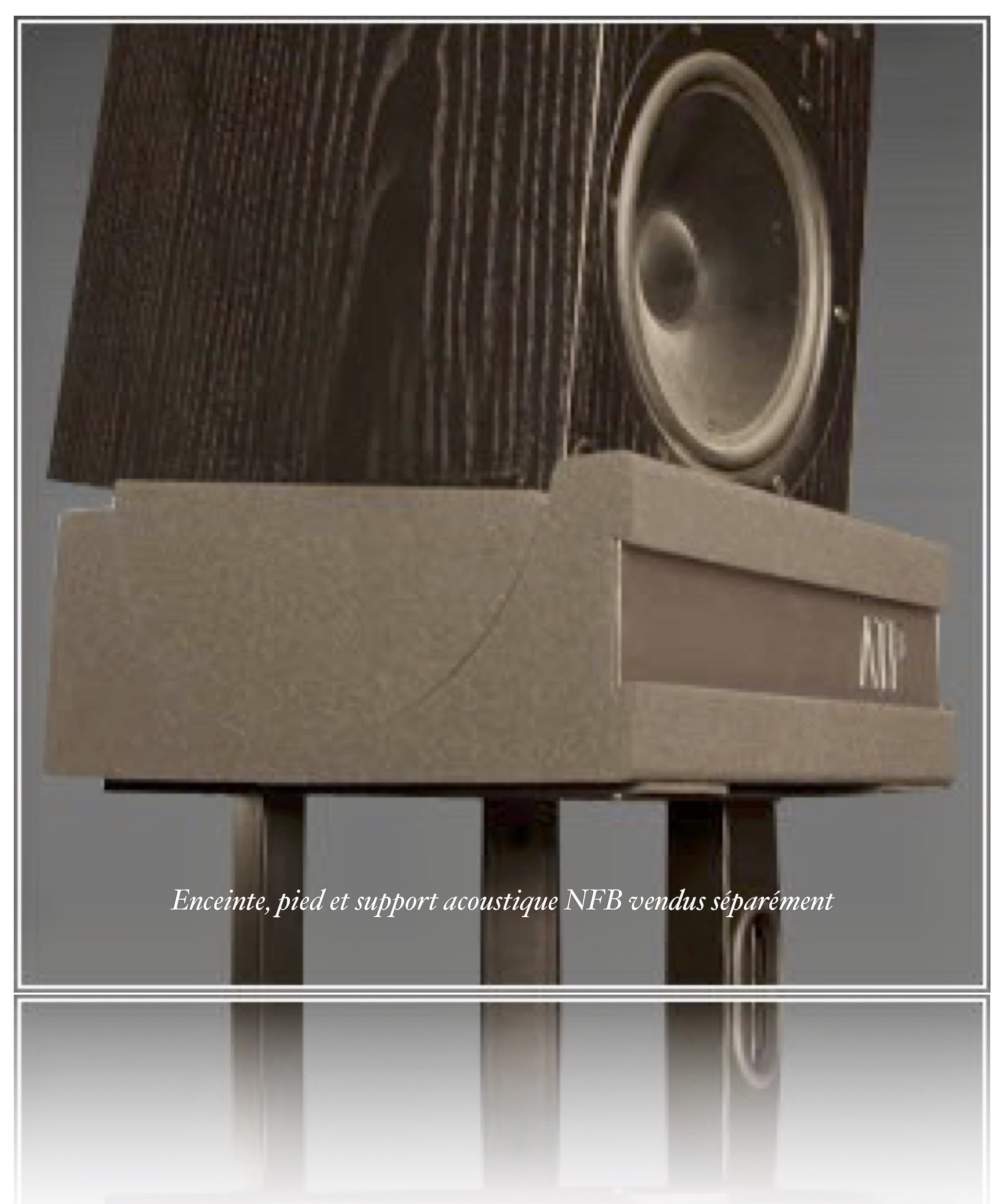 JOCAVI Near Field Base NFB® Support Acoustique pour Enceinte Bibliothèque ou Monitoring (La Paire)